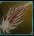 wingsicon.jpg