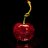 RedCherry